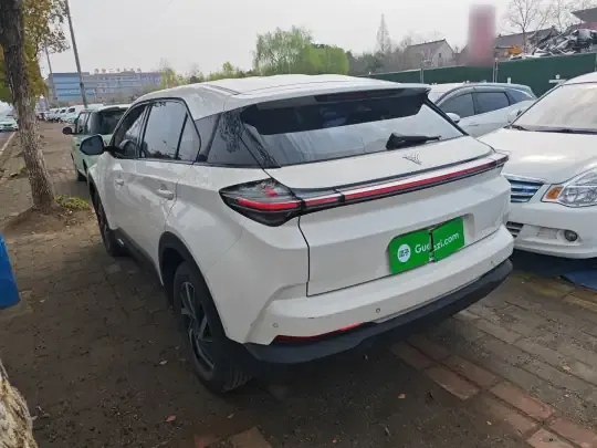 NETA U 2021 (109100 км)