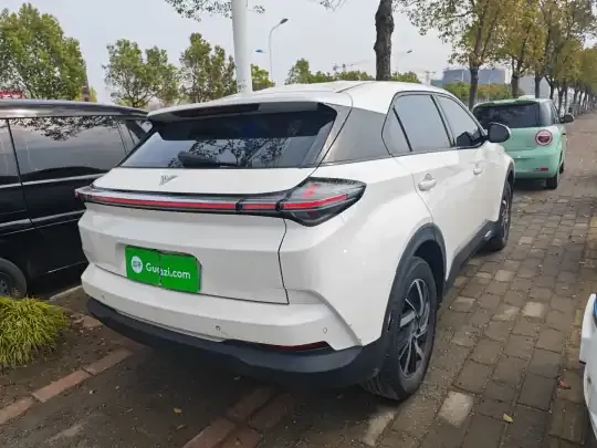 NETA U 2021 (109100 км)