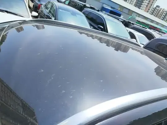 Hongqi HS5 2022 (35700 км)