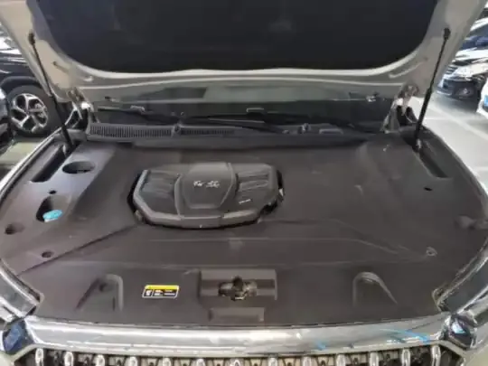 Hongqi HS5 2022 (77400 км)