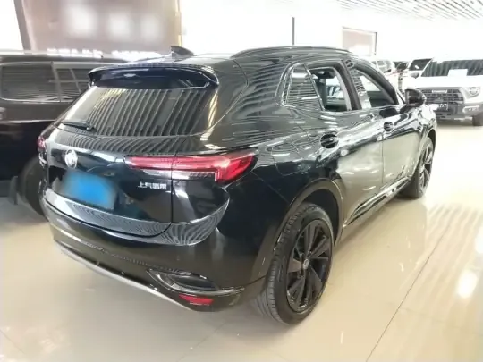 Buick Envision 2022 (97300 км)