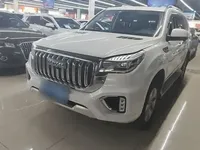 Haval H9 2022 (55500 км)