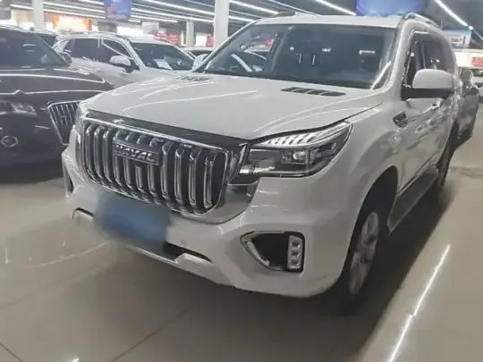 Haval H9 2022 (55500 км)