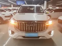 Haval H9 2022 (55500 км)