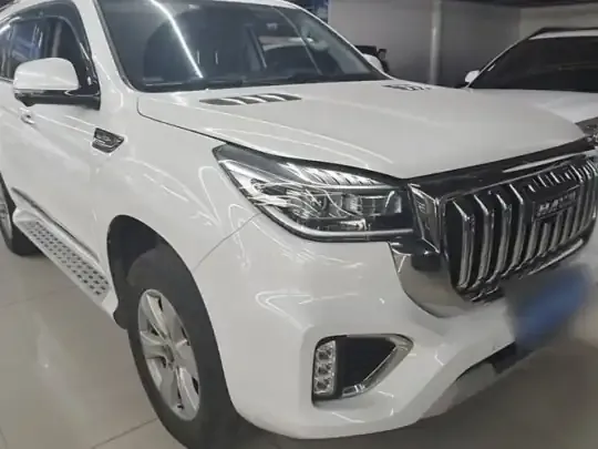 Haval H9 2022 (55500 км)