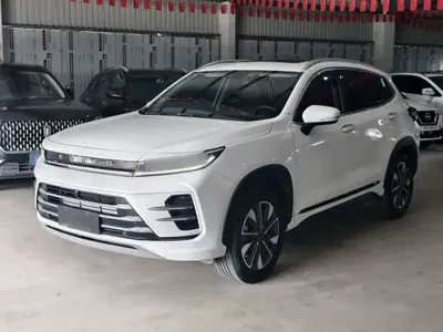 EXEED Zhuifeng 2022 (60500 км)