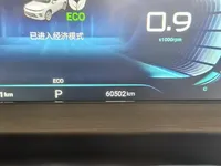 EXEED Zhuifeng 2022 (60500 км)