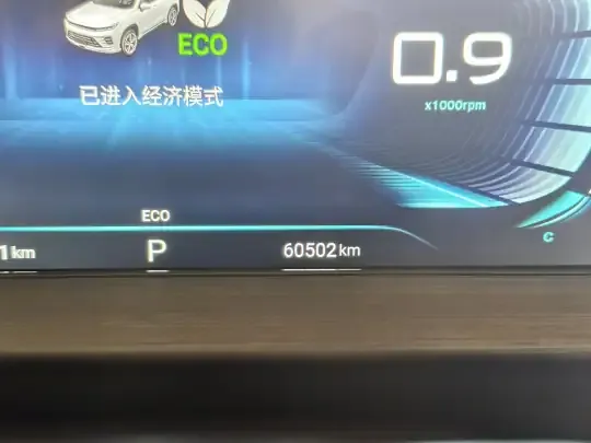 EXEED Zhuifeng 2022 (60500 км)