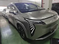 AION Y 2022 (29900 км)