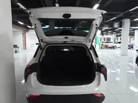 NETA V 2022 (15300 км)