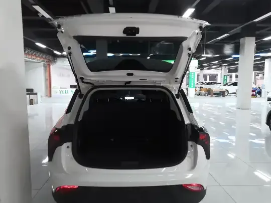 NETA V 2022 (15300 км)