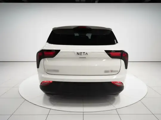NETA V 2022 (15300 км)