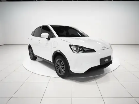 NETA V 2022 (15300 км)