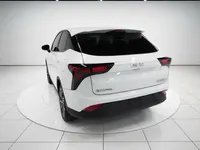 NETA V 2022 (15300 км)