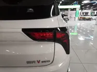 NETA V 2022 (15300 км)