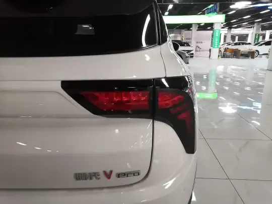 NETA V 2022 (15300 км)