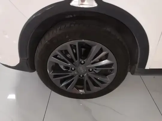 NETA V 2022 (15300 км)