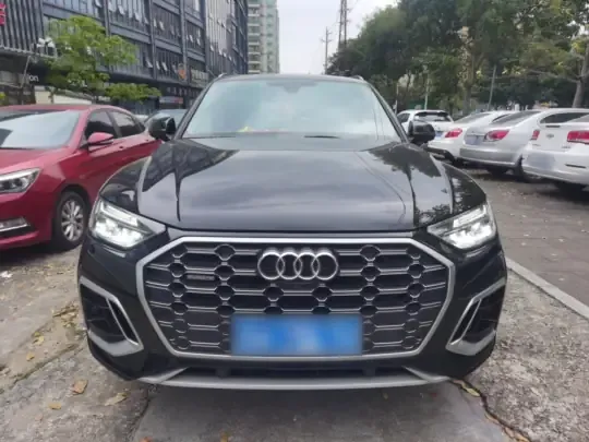 Audi Q5L 2022 (95800 км)