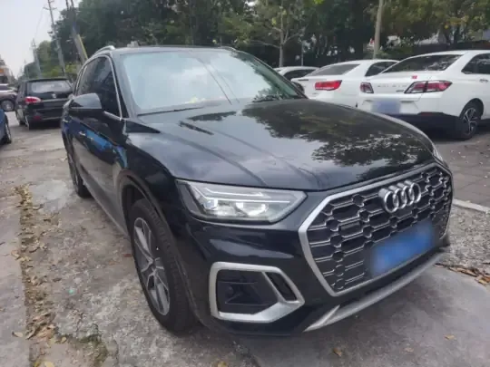 Audi Q5L 2022 (95800 км)