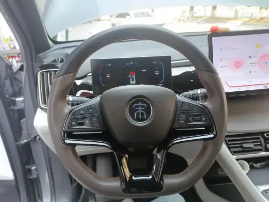 BYD Song Pro New Energy 2022 (31800 км)