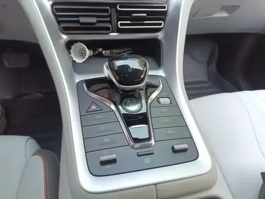 BYD Song Pro New Energy 2022 (31800 км)