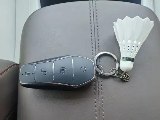 BYD Song Pro New Energy 2022 (31800 км)