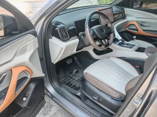 BYD Song Pro New Energy 2022 (31800 км)