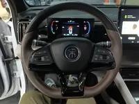 BYD Song Pro New Energy 2022 (38800 км)
