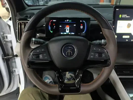 BYD Song Pro New Energy 2022 (38800 км)