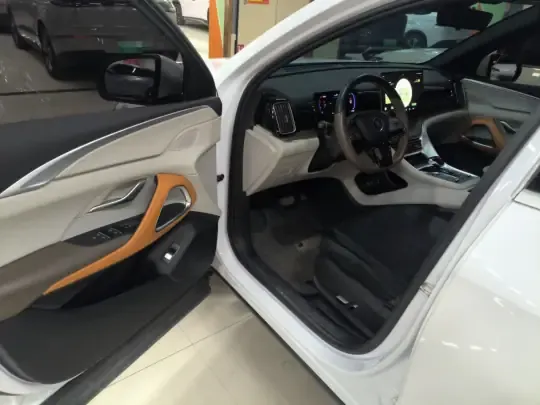 BYD Song Pro New Energy 2022 (38800 км)