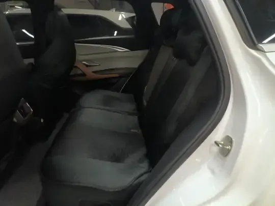 BYD Song Pro New Energy 2022 (38800 км)