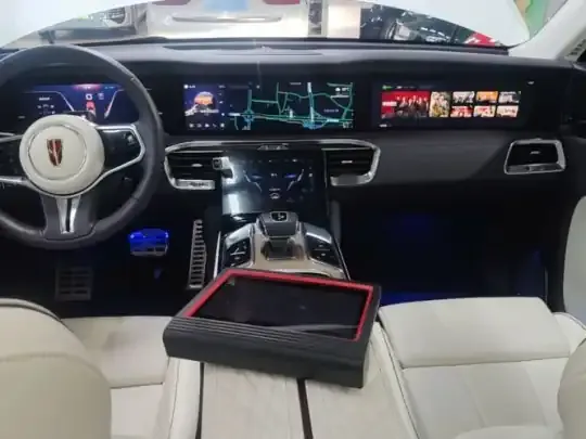 Hongqi E-HS9 2022 (23400 км)