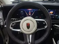 Hongqi E-HS9 2022 (23400 км)
