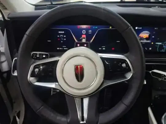Hongqi E-HS9 2022 (23400 км)