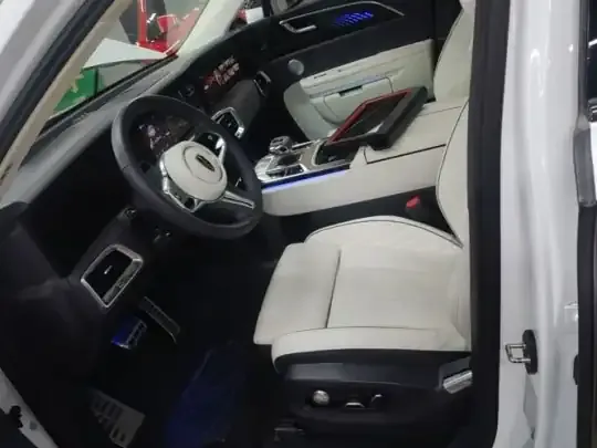 Hongqi E-HS9 2022 (23400 км)