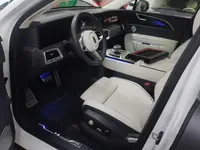 Hongqi E-HS9 2022 (23400 км)