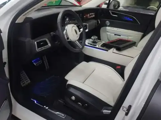 Hongqi E-HS9 2022 (23400 км)