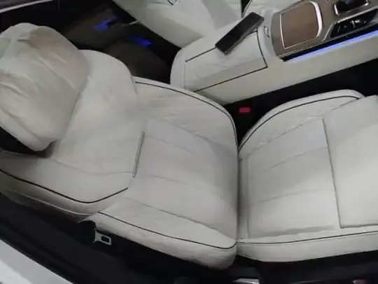 Hongqi E-HS9 2022 (23400 км)