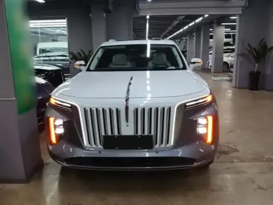 Hongqi E-HS9 2022 (23400 км)