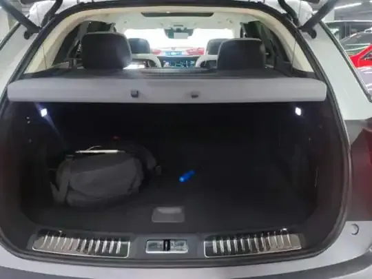 Hongqi E-HS9 2022 (23400 км)