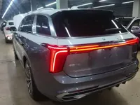 Hongqi E-HS9 2022 (23400 км)
