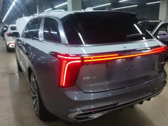 Hongqi E-HS9 2022 (23400 км)