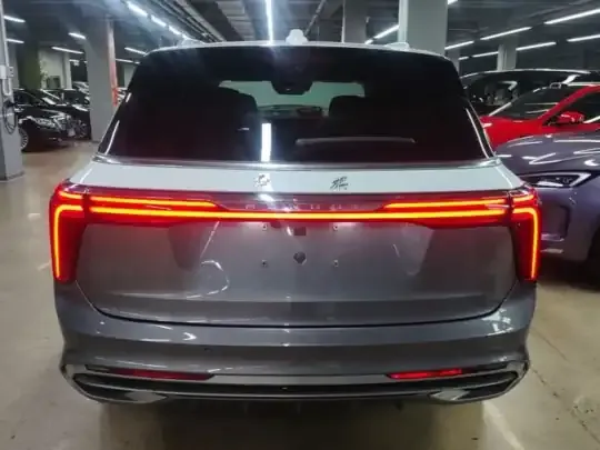 Hongqi E-HS9 2022 (23400 км)