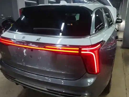 Hongqi E-HS9 2022 (23400 км)