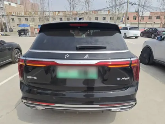 Hongqi E-HS9 2022 (10700 км)