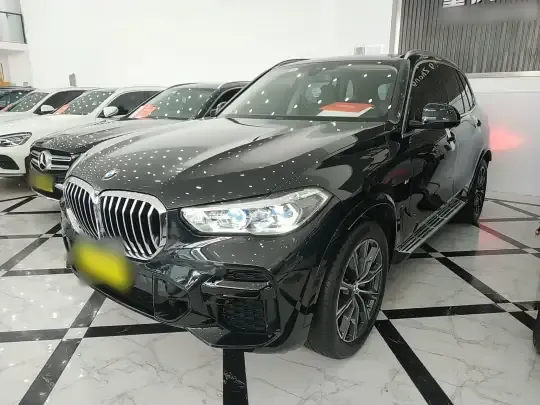 BMW X5 2022 (100600 км)