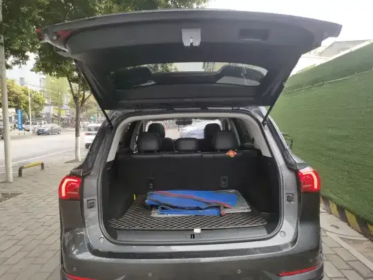 Roewe RX5 MAX 2022 (25400 км)