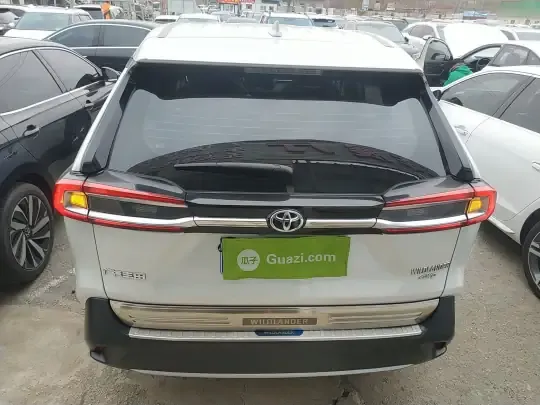 Toyota Wildlander 2022 (22100 км)