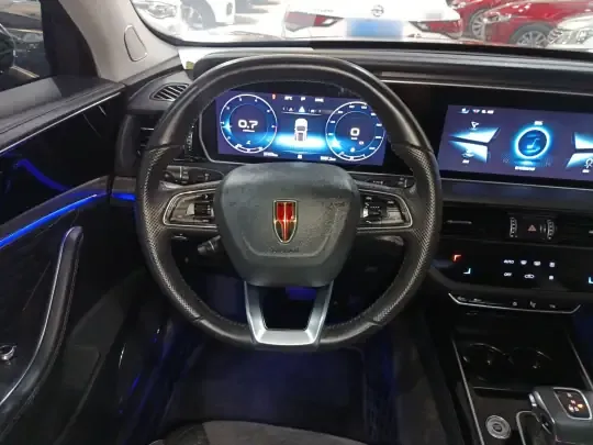 Hongqi HS5 2022 (37500 км)