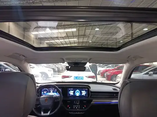 Hongqi HS5 2022 (37500 км)